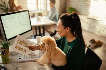 Woman sitting at computer desk with small dog in her lap