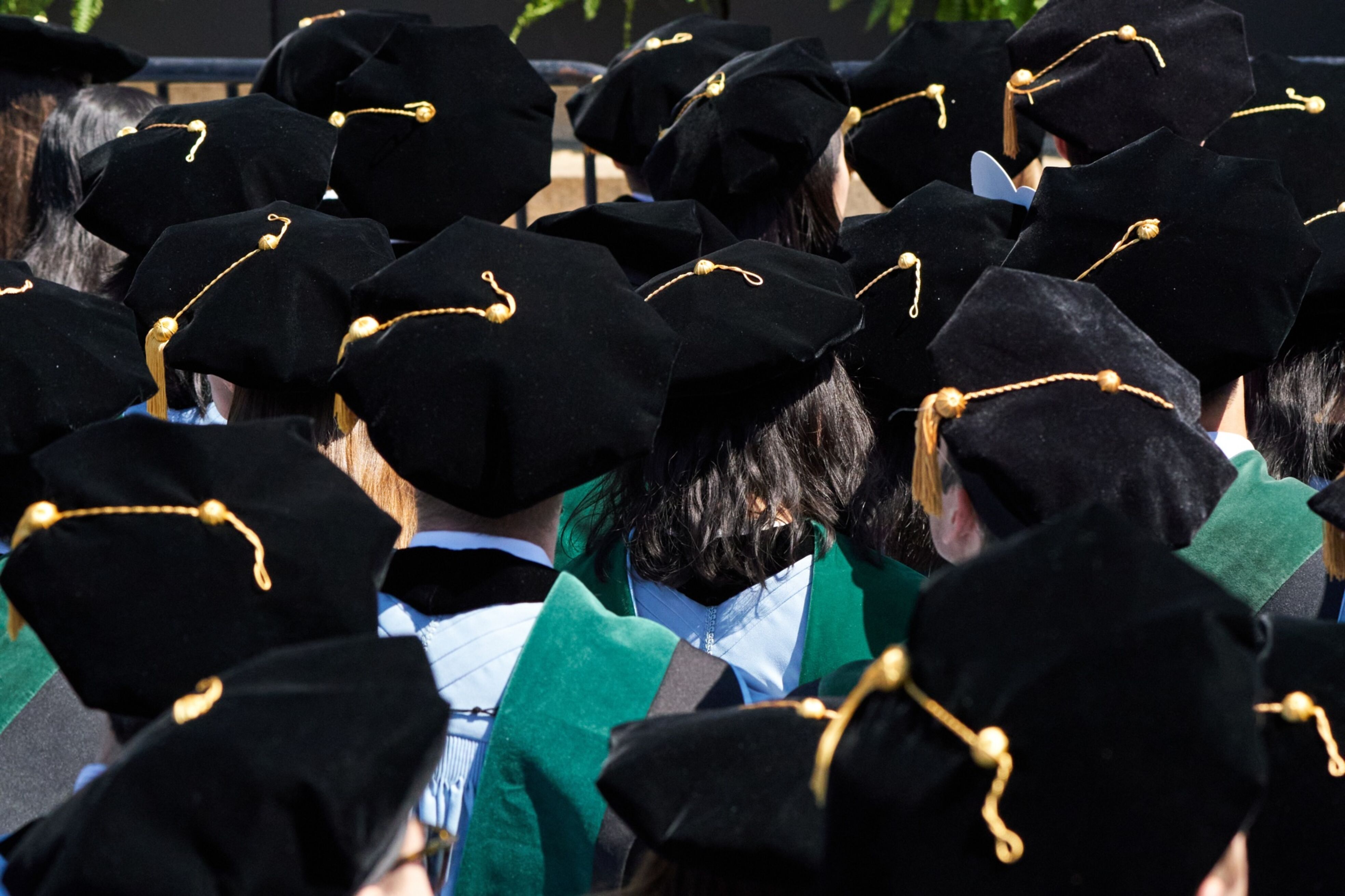 A sea of graduates at a graduation ceremony pictured from behind so their caps show.