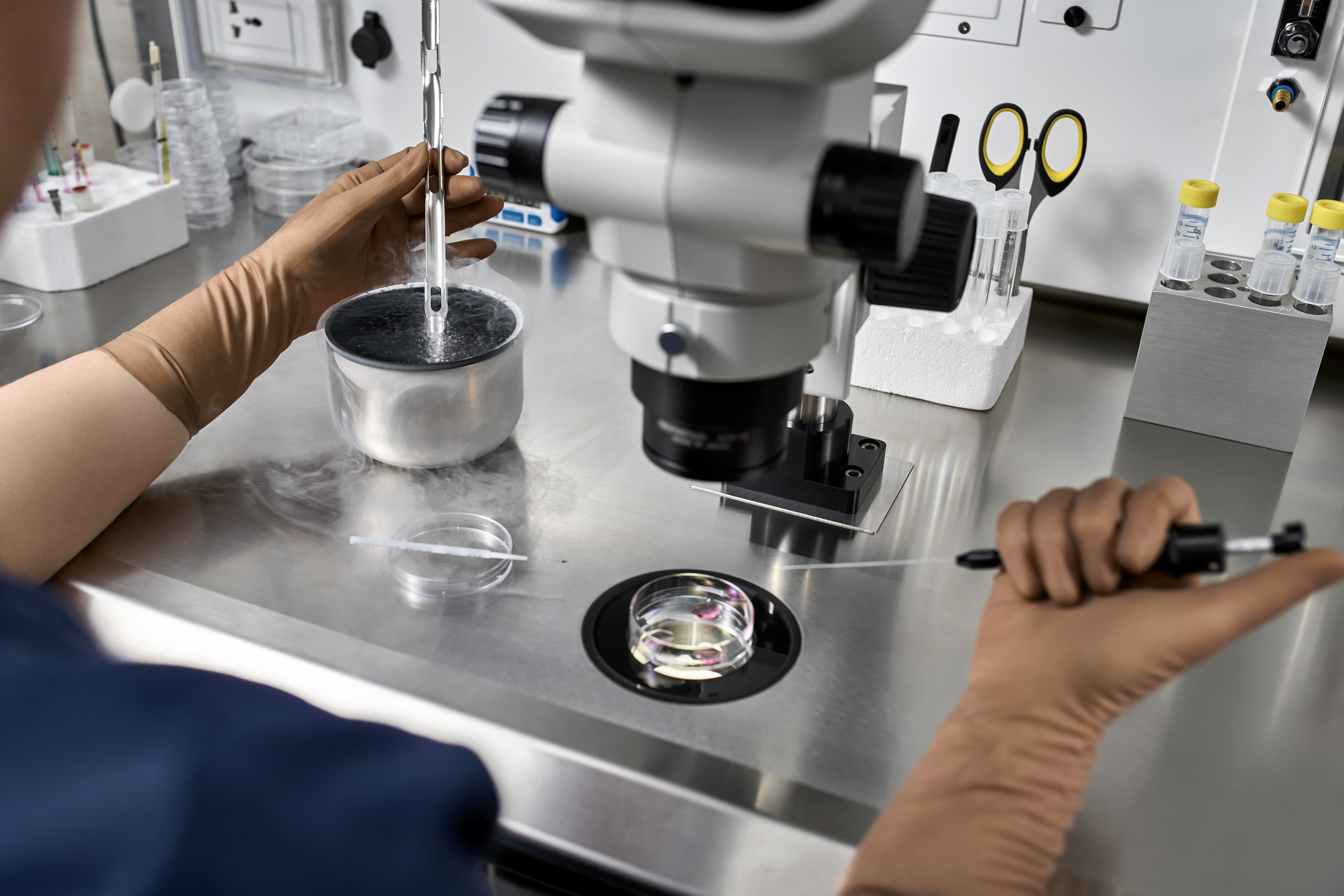 Doctor working in a fertility treatment.