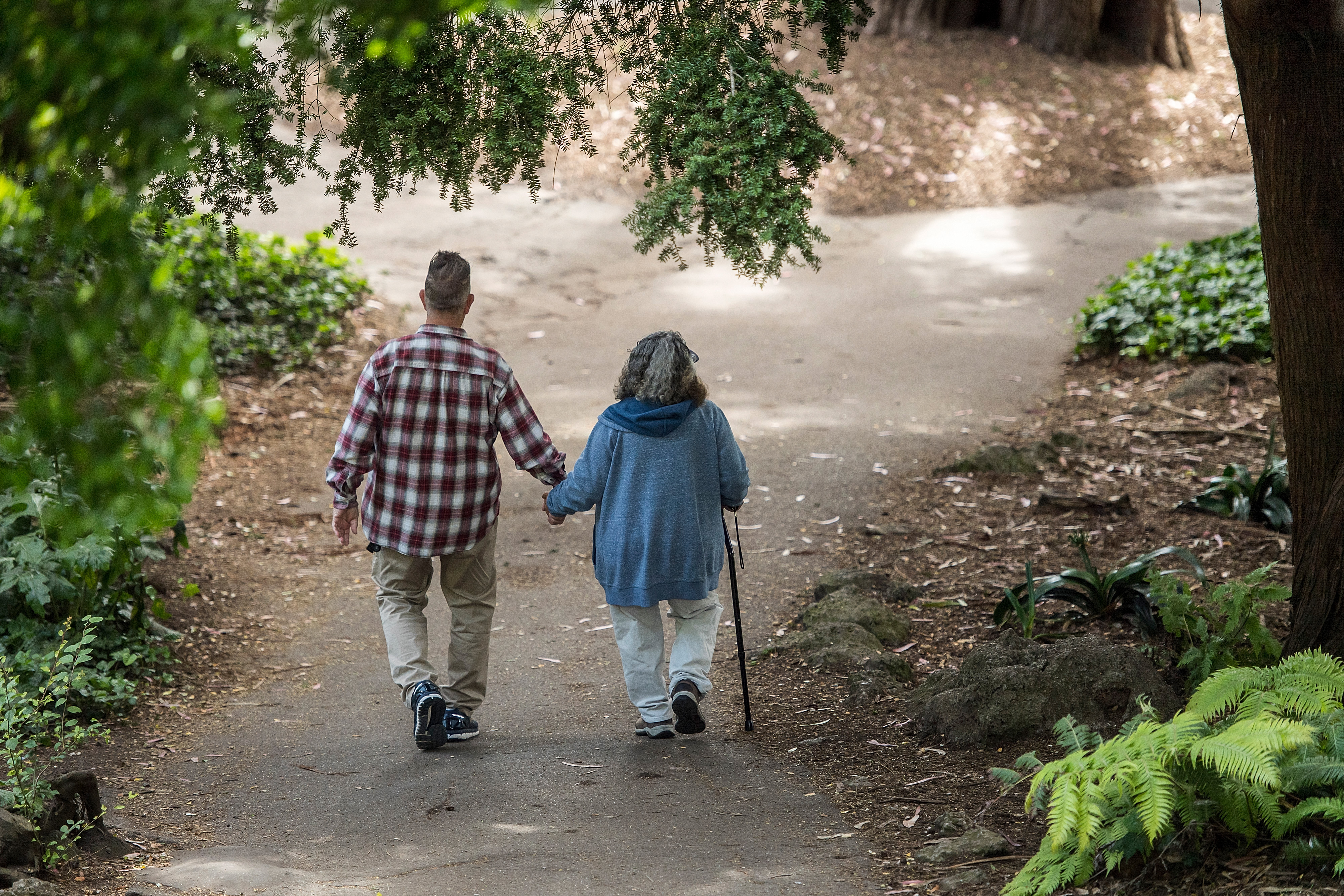An elderly couple walks through a park path, hand in hand.