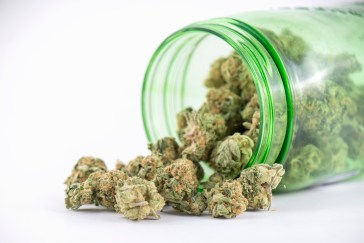 Cannabis buds pouring out of a green glass jar.