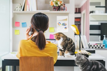 A woman is on the phone while two cats sit on her desk in disinterest.