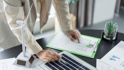 Chief sustainability officer