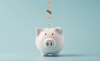 Piggy bank with money