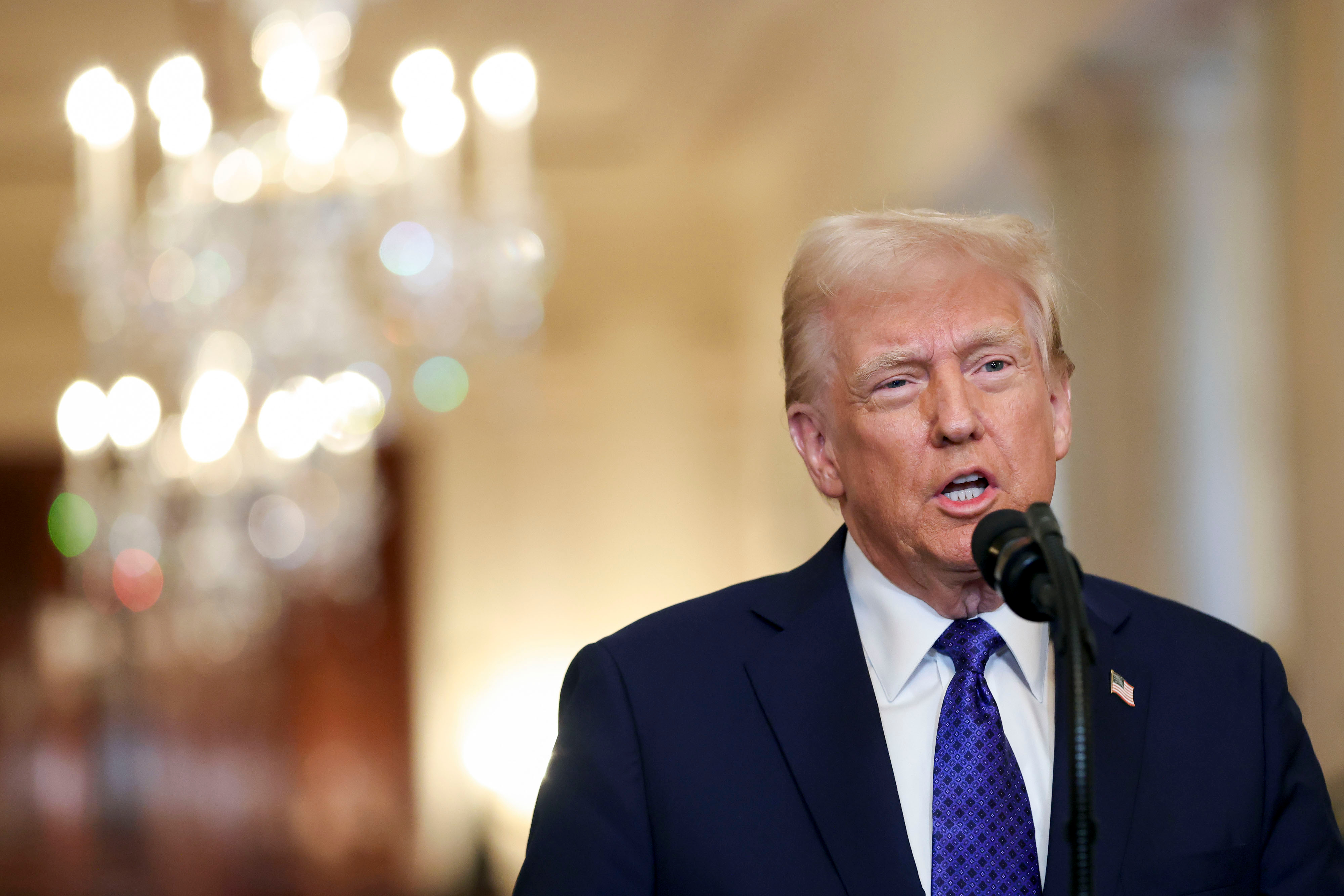 President Donald Trump speaks into mic at White House.
