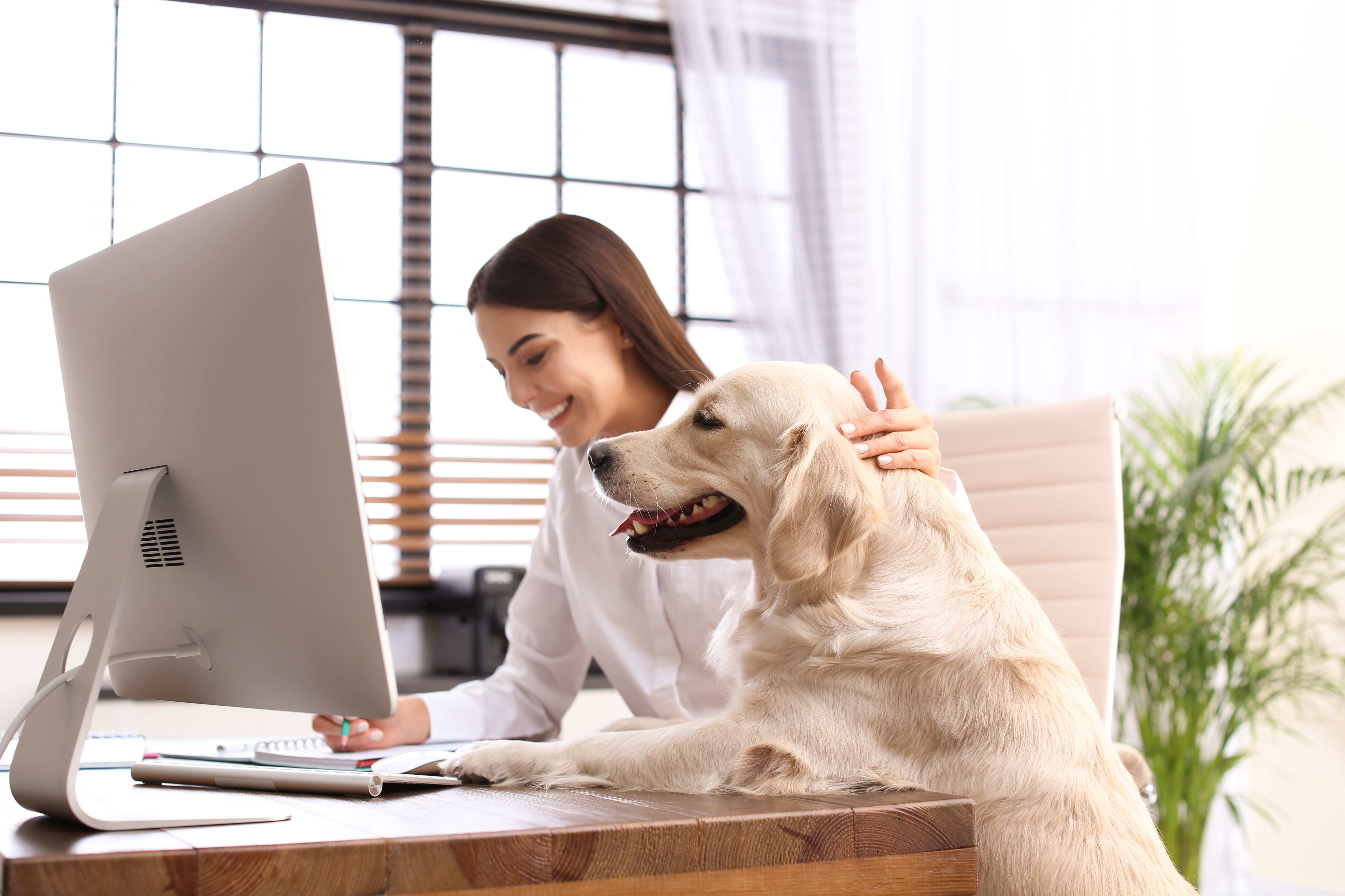 Woman sitting at desk working in office, smiling, petting dog with its paws on desk