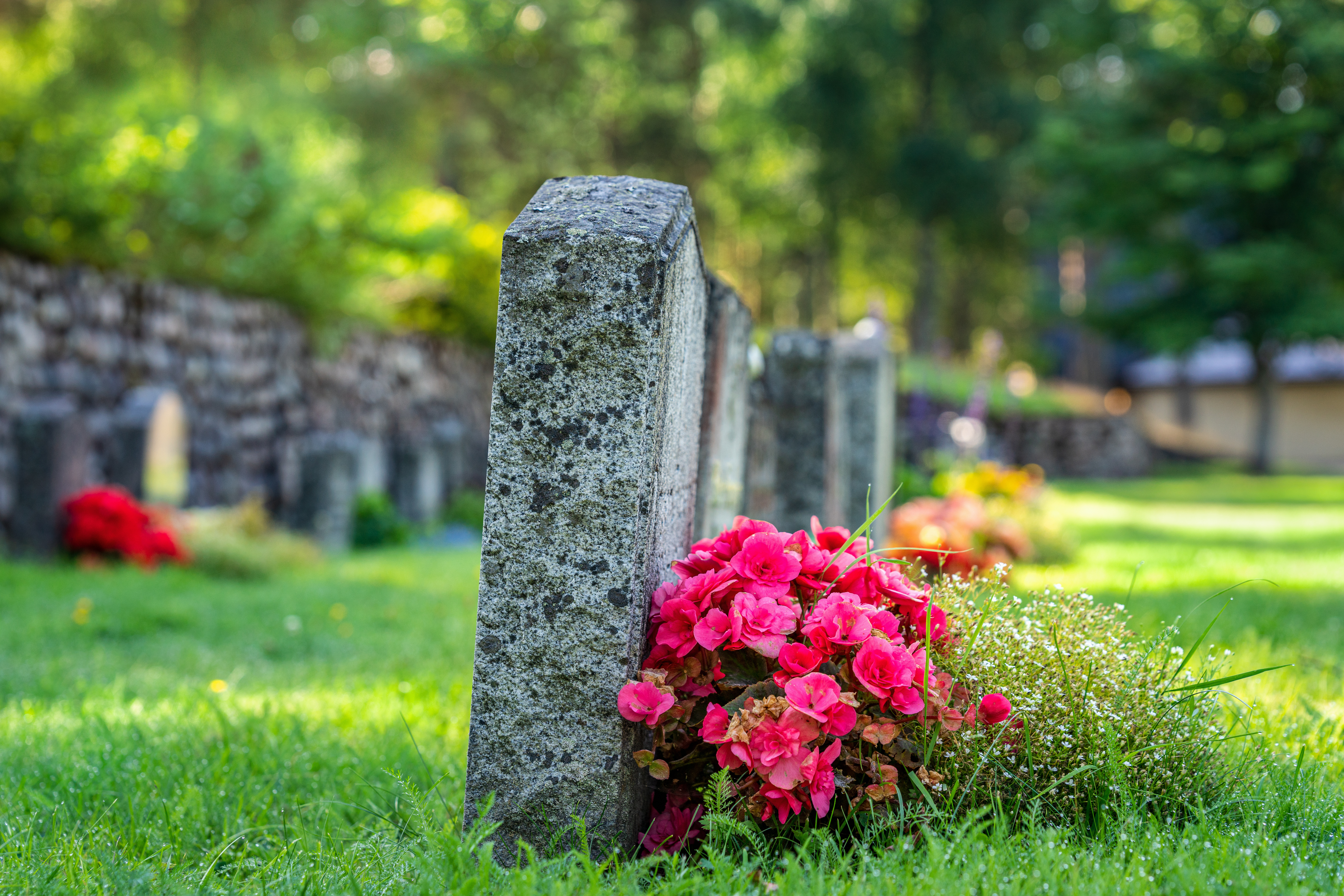 Gravestones with flowers on them