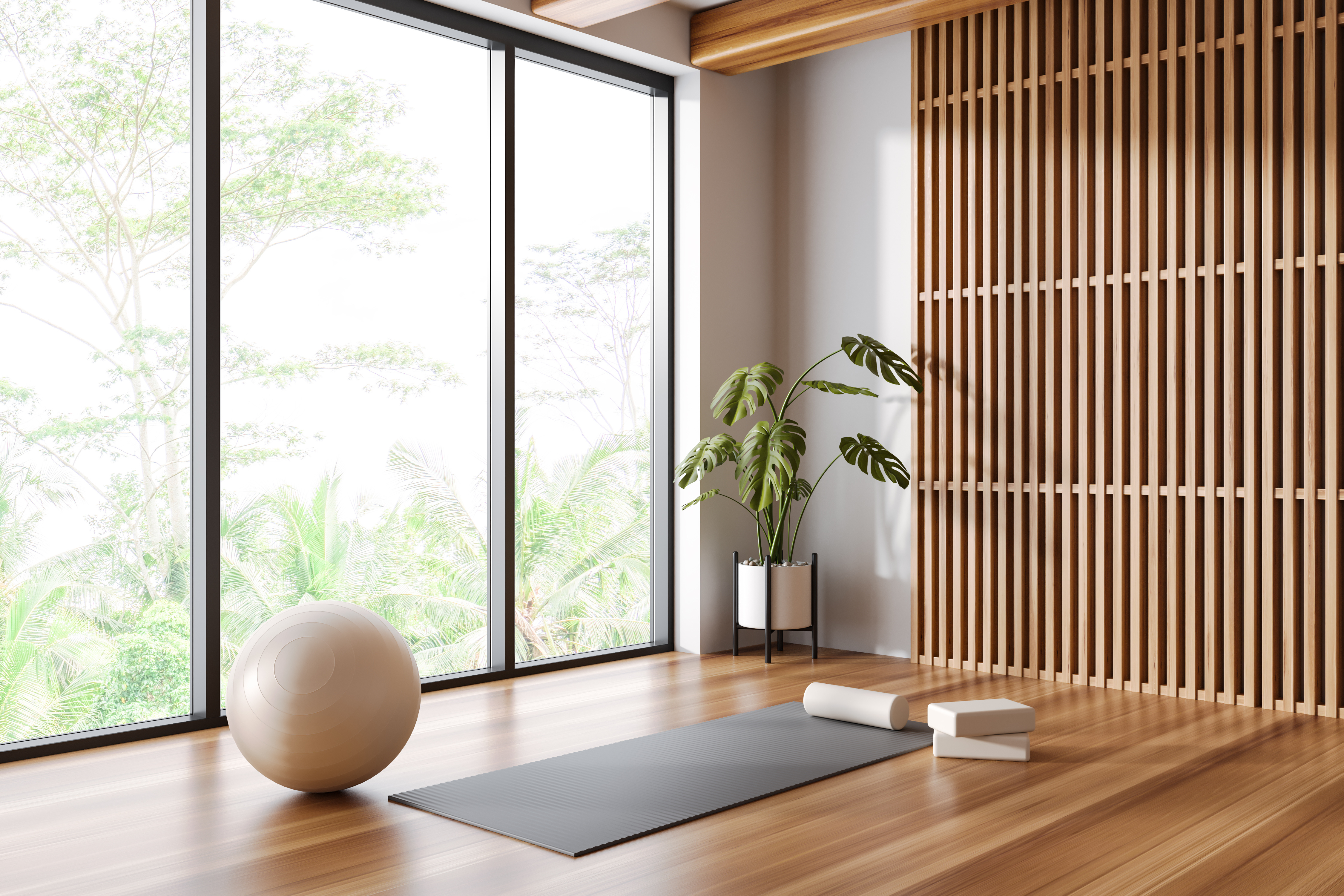 Yoga mat and ball